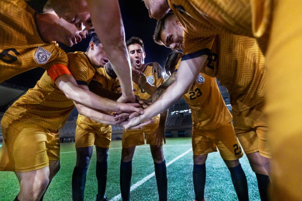 种谨慎的策 种谨慎的策