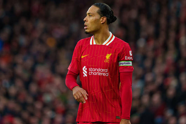 荷兰铁卫德 荷兰铁卫德