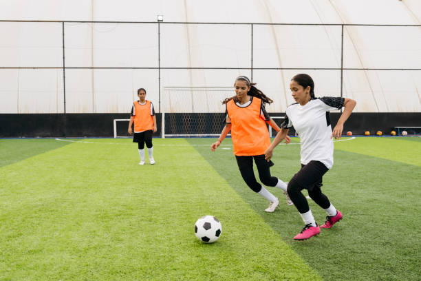 不分伯仲的 不分伯仲的